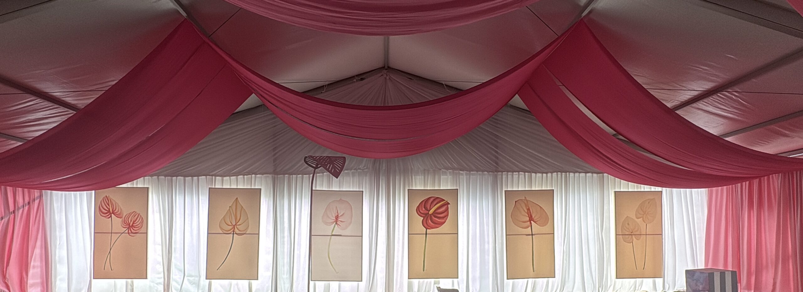 Draping gallery image 1